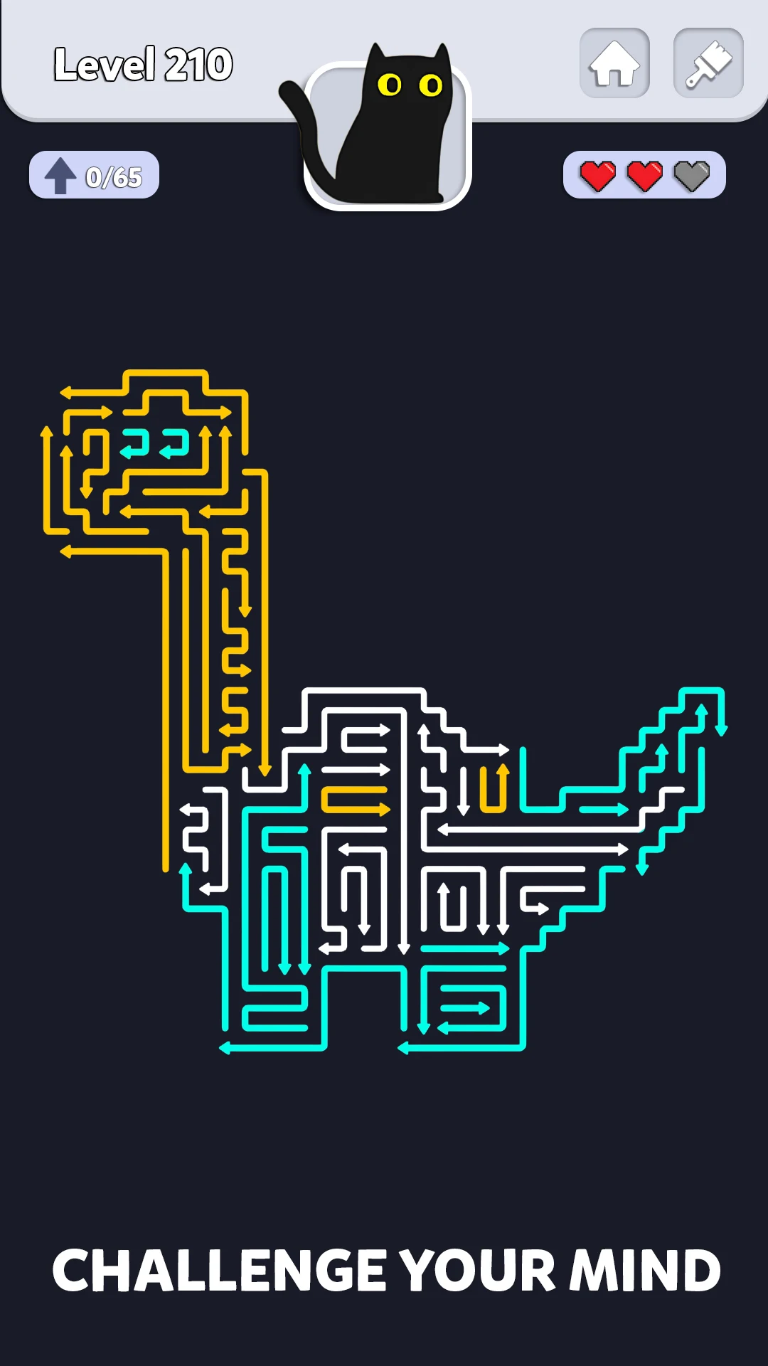 Arrow Puzzle Challenge screenshot